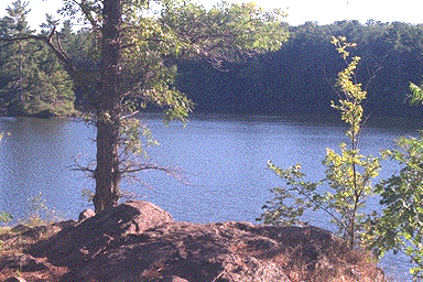 View of Otter Lake