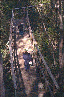 Boardwalk